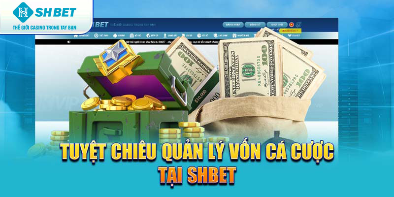 Banner www.thanhhai.com.vn