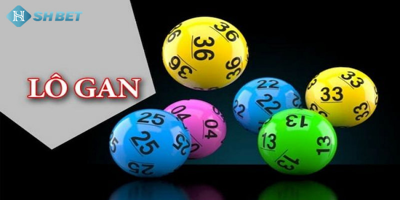 Banner www.thanhhai.com.vn