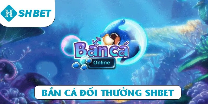 Banner www.thanhhai.com.vn