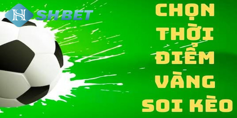 Banner www.thanhhai.com.vn