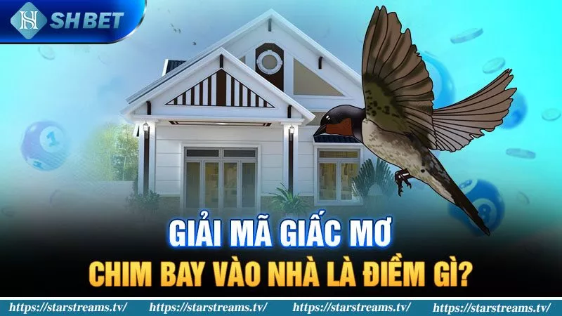 Banner www.thanhhai.com.vn