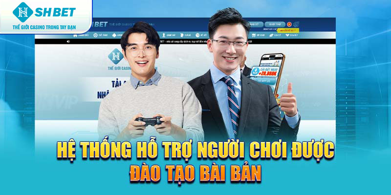 Banner www.thanhhai.com.vn