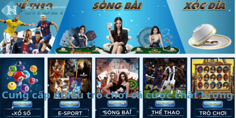 Banner www.thanhhai.com.vn