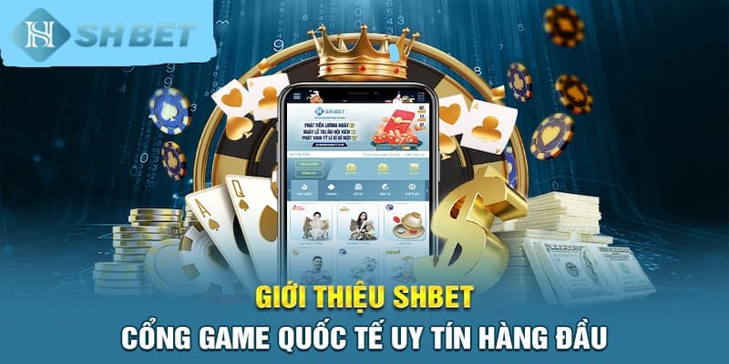 Banner www.thanhhai.com.vn