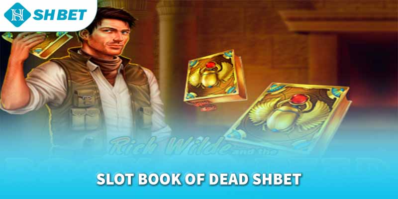 Banner www.thanhhai.com.vn